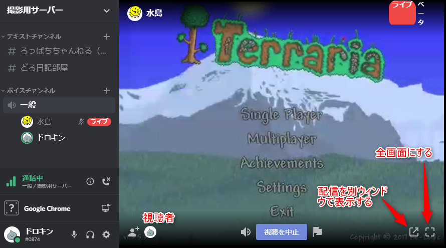 Discord サーバー画面共有機能goliveを解説 ドロキンの会心の一撃ブログ